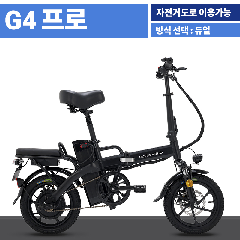 产 G4  350W 48V 10Ah 